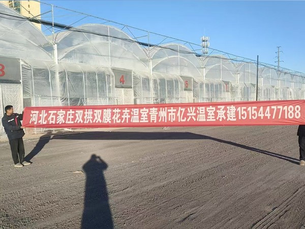 河北石家莊雙拱雙膜花卉溫室